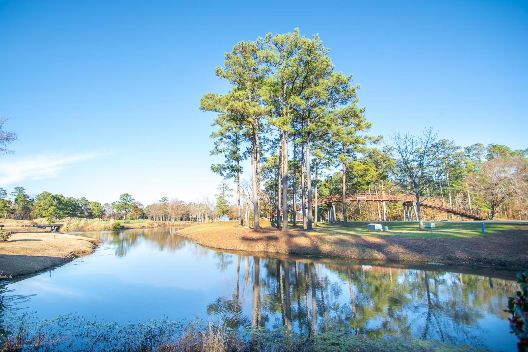 River Oaks 15-G By Palmetto Vacation Rentals 미를 비치 외부 사진